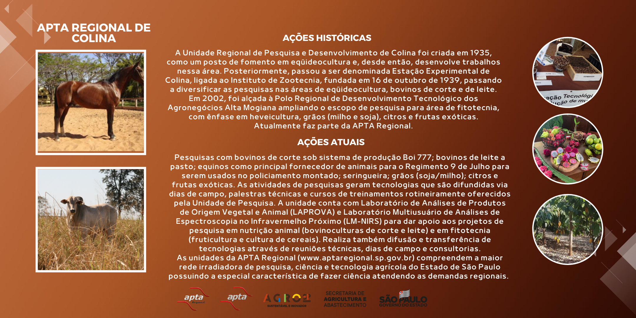 APTA REGIONAL DE COLINA